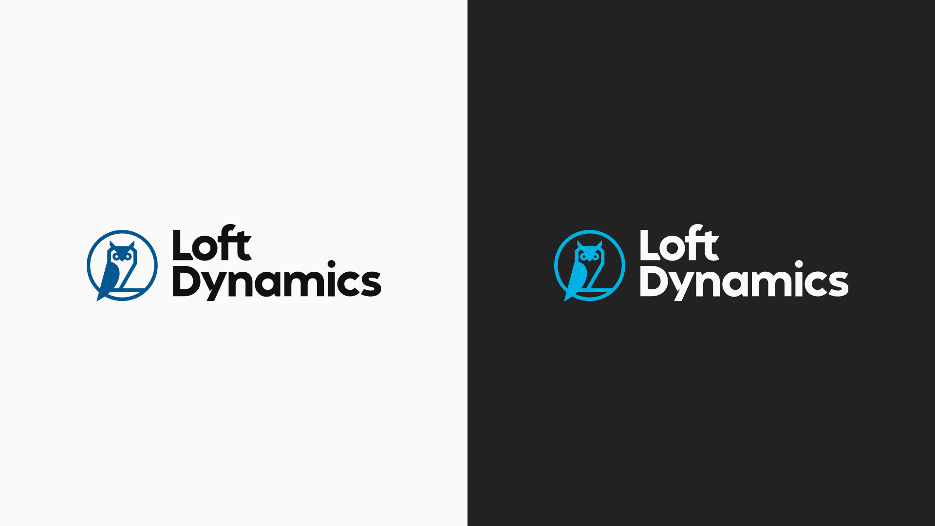 Loft Dynamics logo before, navy on light, and after, sky blue on dark